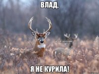 влад, я не курила!