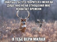 Знал бы ты что творится у меня на душе, нно но на отношения мне нехватает времени Я тебе вери милая