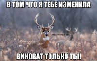 в том что я тебе изменила виноват только ты!