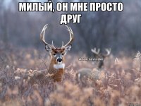 Милый, он мне просто друг 