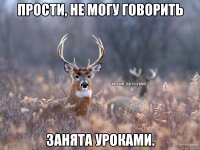 Прости, не могу говорить Занята уроками.