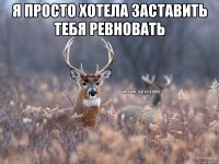 Я просто хотела заставить тебя ревновать 