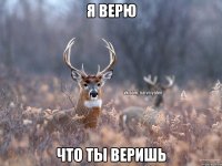 Я верю Что ты веришь