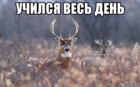 УЧИЛСЯ ВЕСЬ ДЕНЬ 