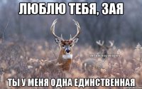 ЛЮБЛЮ ТЕБЯ, ЗАЯ ТЫ У МЕНЯ ОДНА ЕДИНСТВЕННАЯ