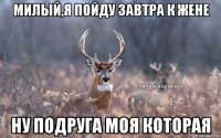 милый,я пойду завтра к жене ну подруга моя которая