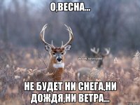 О,весна... Не будет ни снега,ни дождя,ни ветра...