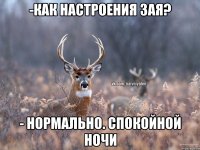 -Как настроения зая? - нормально. Спокойной ночи