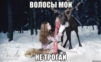 Волосы мои НЕ ТРОГАЙ