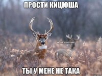 Прости кицюша Ты у мене не така