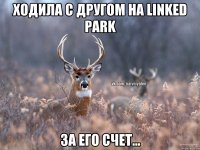 Ходила с другом на Linked Park за его счет...