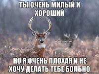 Ты очень милый и хороший Но я очень плохая и не хочу делать тебе больно