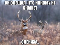 он обещал ,что никому не скажет олениха..