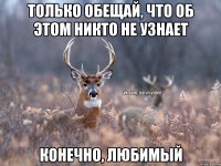 Только обещай, что об этом никто не узнает Конечно, любимый