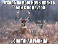 уехала на всю ночь клеить обои с подругой ...она такая умница