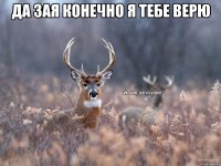 да зая конечно я тебе верю 