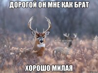 Дорогой он мне как брат Хорошо милая