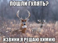 ПОШЛИ ГУЛЯТЬ? ИЗВИНИ,Я РЕШАЮ ХИМИЮ