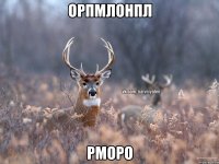 орпмлонпл рморо