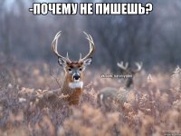 -почему не пишешь? 