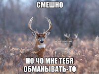 Смешно но чо мне тебя обманывать-то