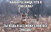 Какая разница, что я сказала? Ты ведь и без моих слов все знаешь!