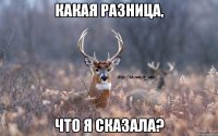 Какая разница, Что я сказала?