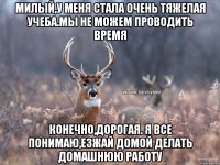 Милый,у меня стала очень тяжелая учеба.Мы не можем проводить время конечно,дорогая. Я все понимаю,езжай домой делать домашнюю работу