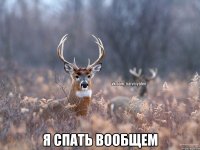  Я спать вообщем