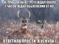 Не пришла на встречу,ждал около 2 часов ,ждал обьяснений от неё Ответила прости ,я уснула )