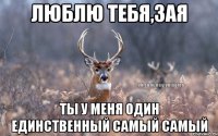 Люблю тебя,зая ты у меня один единственный самый самый