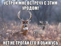 устрой мне встречу с этим уродом! нет,не трогай его,я обижусь