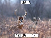 Мала, Гарно співаєш