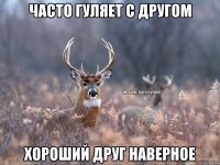 часто гуляет с другом хороший друг наверное