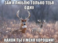 зай я люблю только тебя одну какой ты у меня хороший!