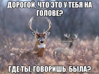 дорогой, что это у тебя на голове? где ты, говоришь, была?