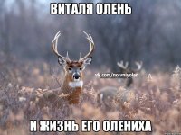 Виталя олень И жизнь его олениха