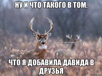 Ну и что такого в том, Что я добавила давида в друзья