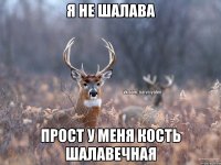 Я не шалава прост у меня кость шалавечная