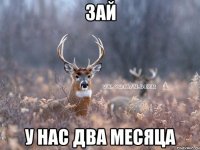 Зай У нас два месяца