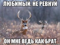 Любимый, не ревнуй Он мне ведь как брат