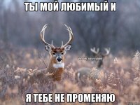 ты мой любимый и я тебе не променяю