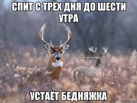 Спит с трёх дня до шести утра Устаёт бедняжка