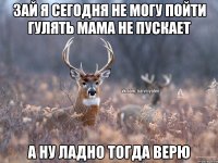 Зай я сегодня не могу пойти гулять мама не пускает А ну ладно тогда верю