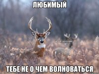 Любимый тебе не о чем волноваться