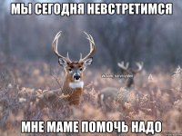 Мы сегодня невстретимся мне маме помочь надо