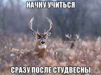 Начну учиться сразу после студвесны