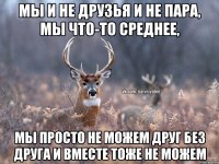 МЫ И НЕ ДРУЗЬЯ И НЕ ПАРА, МЫ ЧТО-ТО СРЕДНЕЕ, МЫ ПРОСТО НЕ МОЖЕМ ДРУГ БЕЗ ДРУГА И ВМЕСТЕ ТОЖЕ НЕ МОЖЕМ