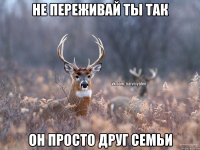 НЕ ПЕРЕЖИВАЙ ТЫ ТАК ОН ПРОСТО ДРУГ СЕМЬИ