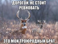 Дорогой, не стоит ревновать Это мой троюродный брат